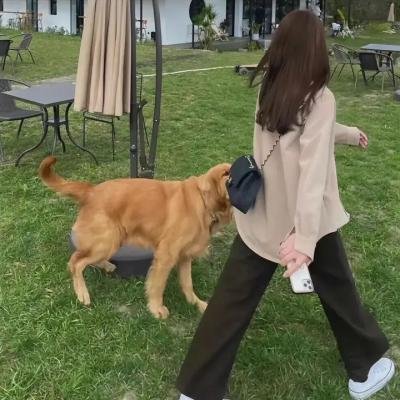 终极追缉令